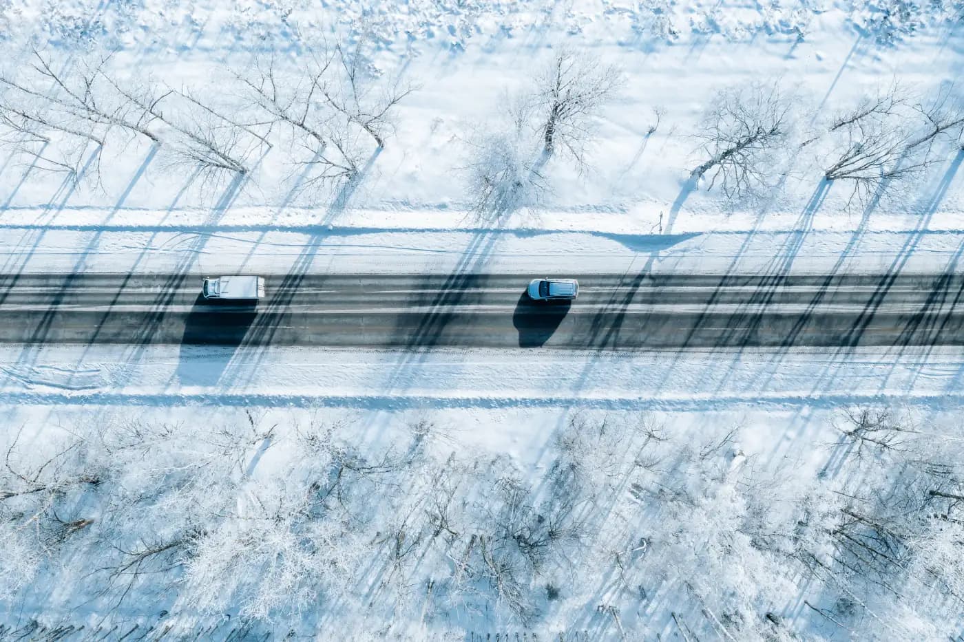 Aerial view of vehicles traveling through snowy woodland