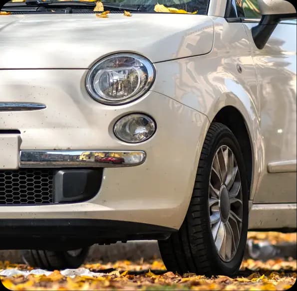 White compact car parked among fallen leaves