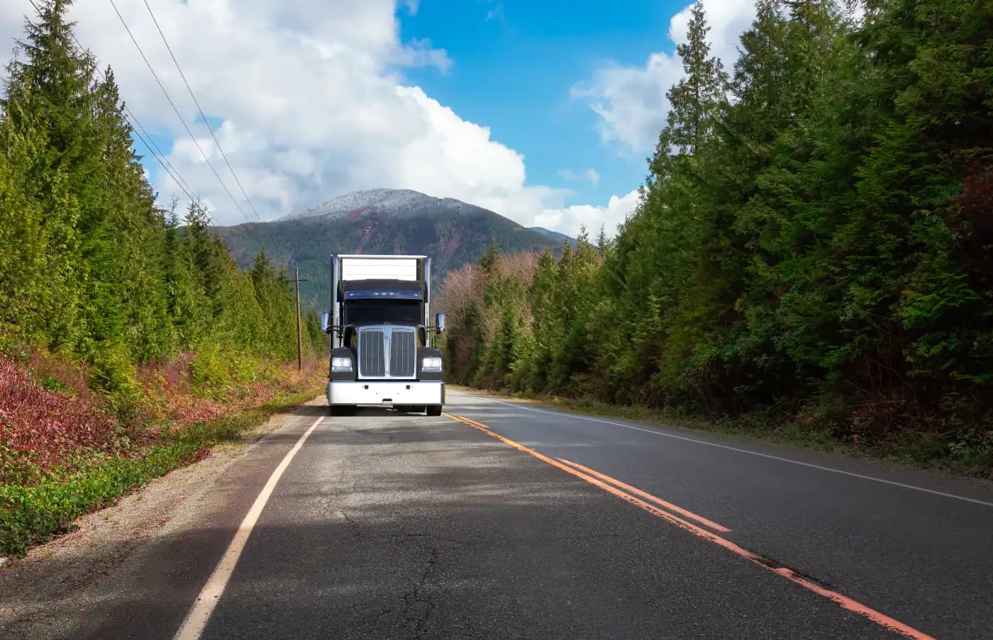 Semi-truck approaching on a forest-lined road