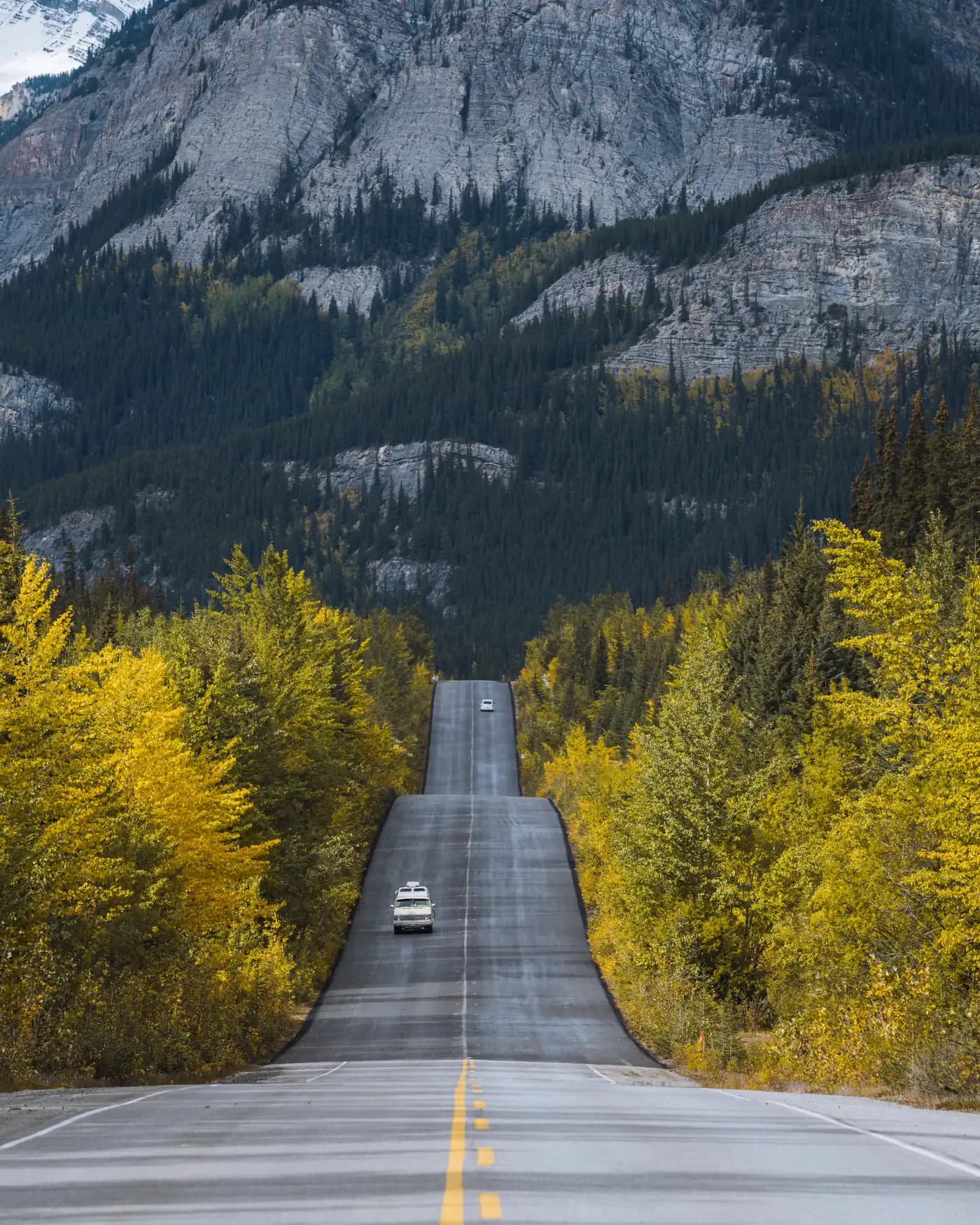 Straight road through autumn trees toward mountains