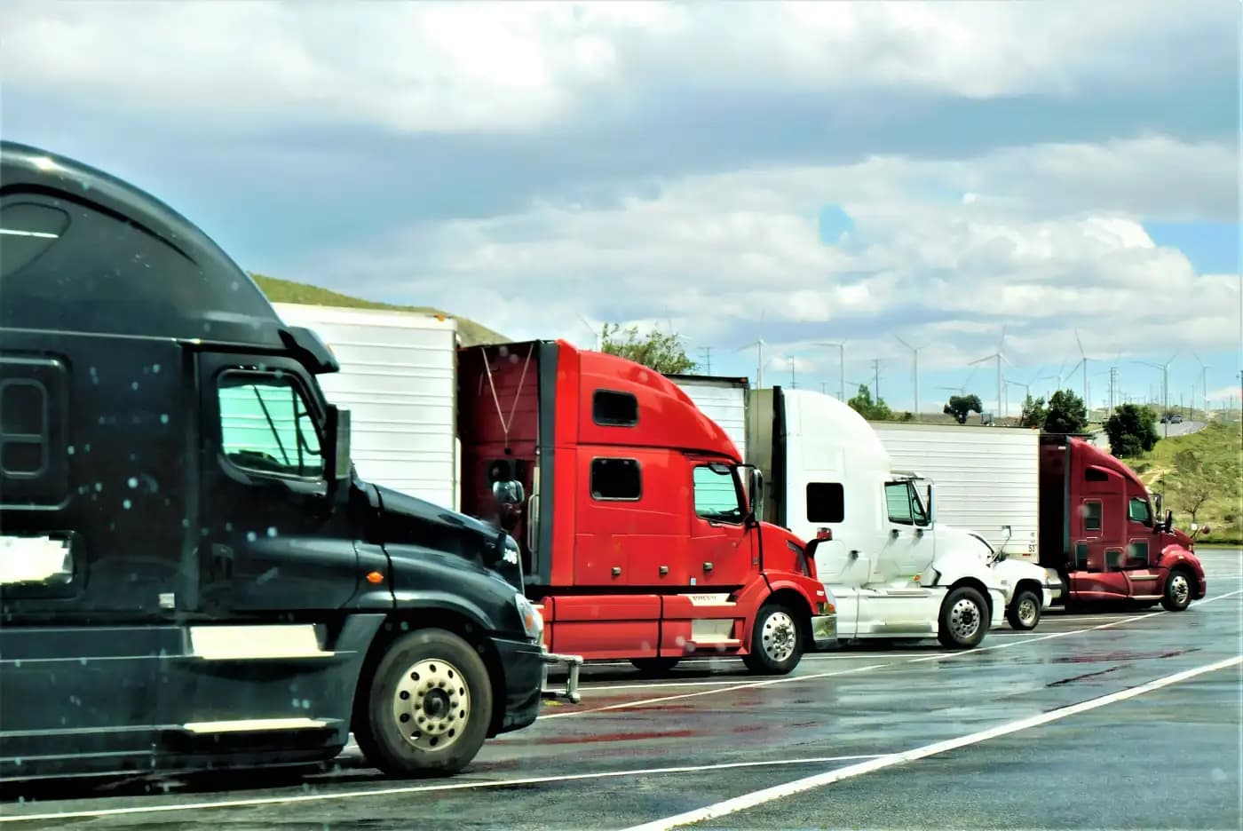 Media Image